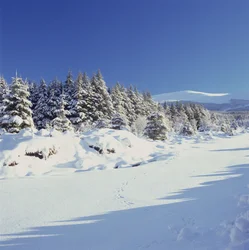 Die Wicklow Mountains im Winter